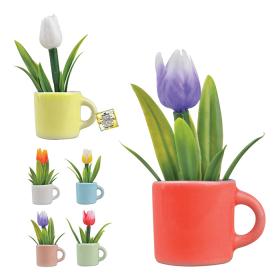 Produto 20 - foto 1