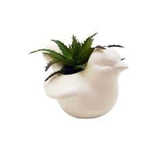 Vaso passarinho porcelana com suculenta